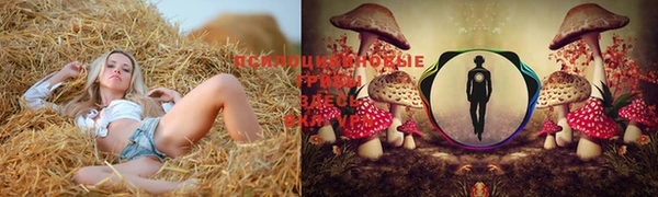 первитин Михайловск