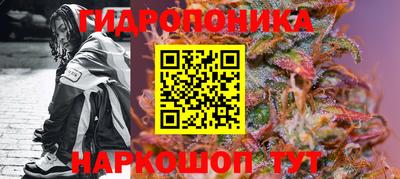 МДПВ Дубна