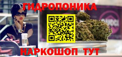 МДПВ Дубна